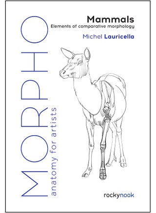 Morpho: Mammals: Elements of Comparative Morphology - pzsku/Z2F1CB10E2CD572148EBEZ/45/_/1727204606/144c08ab-0612-49c0-8377-fcd1dcb0c776