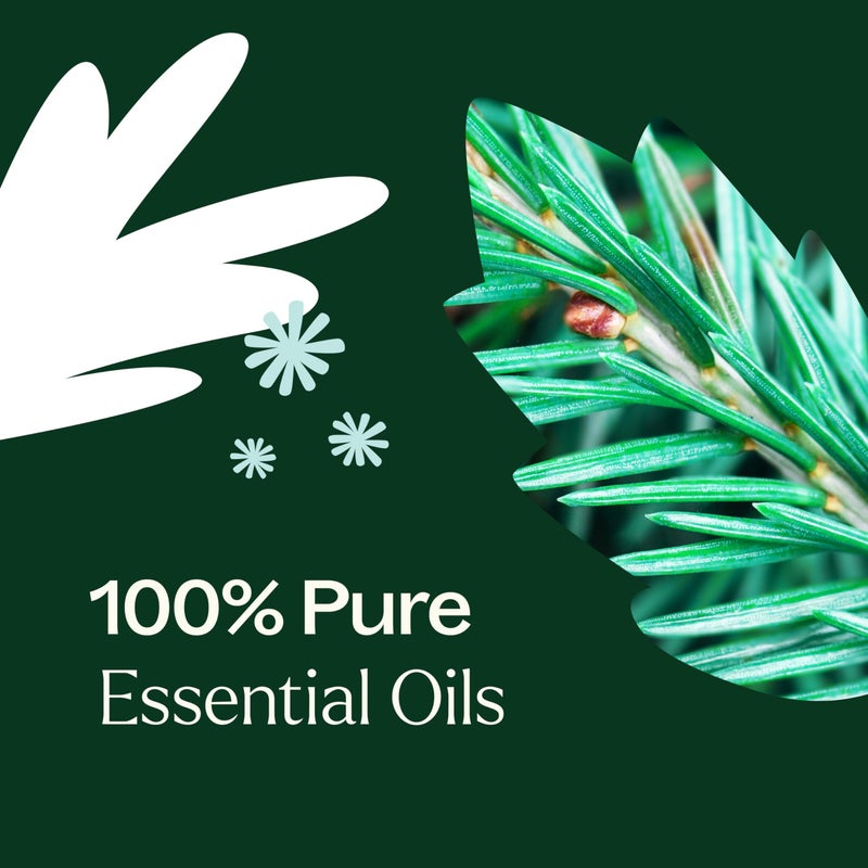Plant Therapy Christmas Tree Holiday Essential Oil Blend 10 mL (1/3 oz) Crisp & Refreshing, Traditional Holiday Scent, Supports a Healthy Respiratory System - Image 5