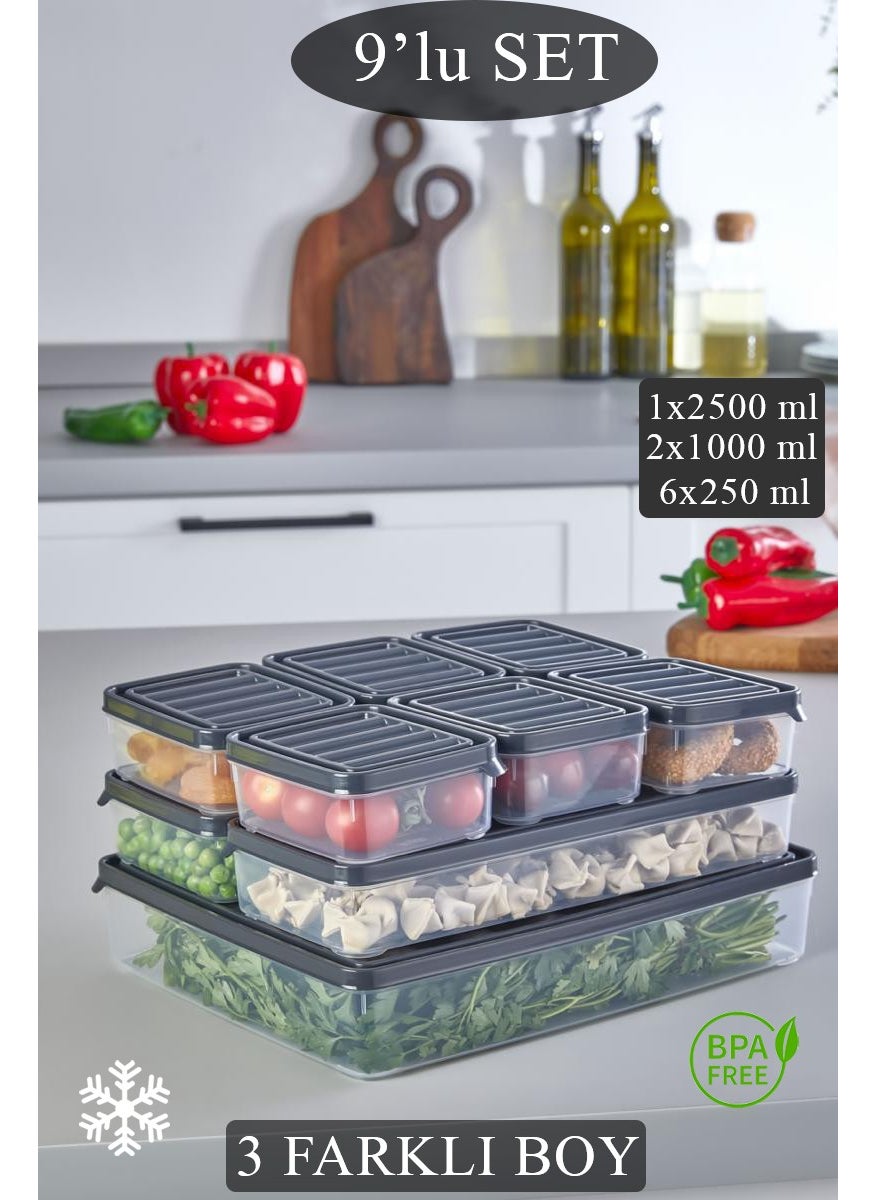 9 Piece Set Freezer, Legumes, Food Container, Picnic Breakfast Fresh Food Storage Container 1x2.5lt, 2x1lt, 6x250ml - pzsku/Z2F1EAC6A0CE9551F689CZ/45/_/1730739293/0367aa0b-0c01-4cca-9c8a-d71a48463b74