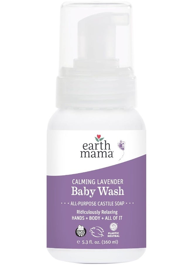 Earth Mama Earth Mama Calming Lavender Foaming Hand Soap | All-Purpose Castile Body Wash, 5.3-Fluid Ounce  - Image 1