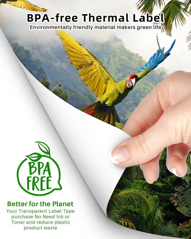 Phomemo Thermal Printer Paper 8.5 x 11 Inch, Advanced Thermal Printing, Phomemo Paper Compatible with M08F-Letter, M832, M834, A285M, with Brother Letter Portable Printer, Size 8.5" x 11", 100 Sheets - Image 4