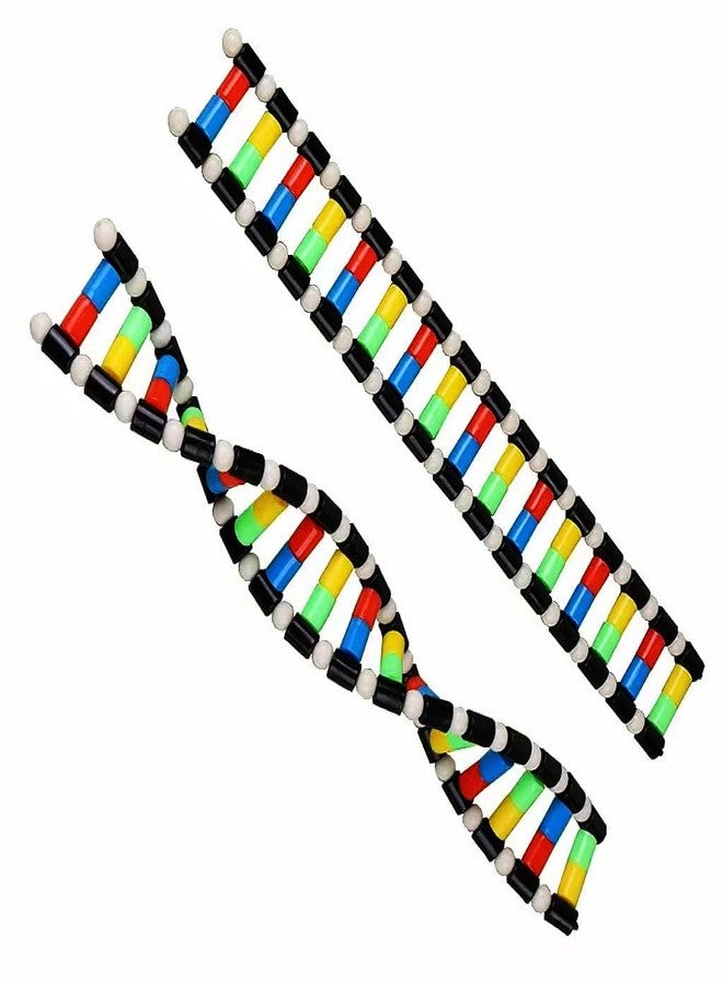 heyous Plastic DNA Double Helix Model Learning Tool Laboratory Instruments Suitable for Science Teaching - Image 5