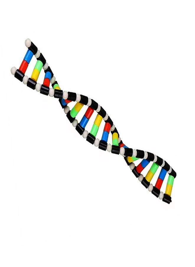 heyous Plastic DNA Double Helix Model Learning Tool Laboratory Instruments Suitable for Science Teaching - Image 1