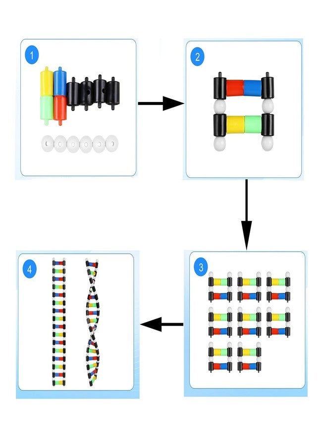 heyous Plastic DNA Double Helix Model Learning Tool Laboratory Instruments Suitable for Science Teaching - Image 4