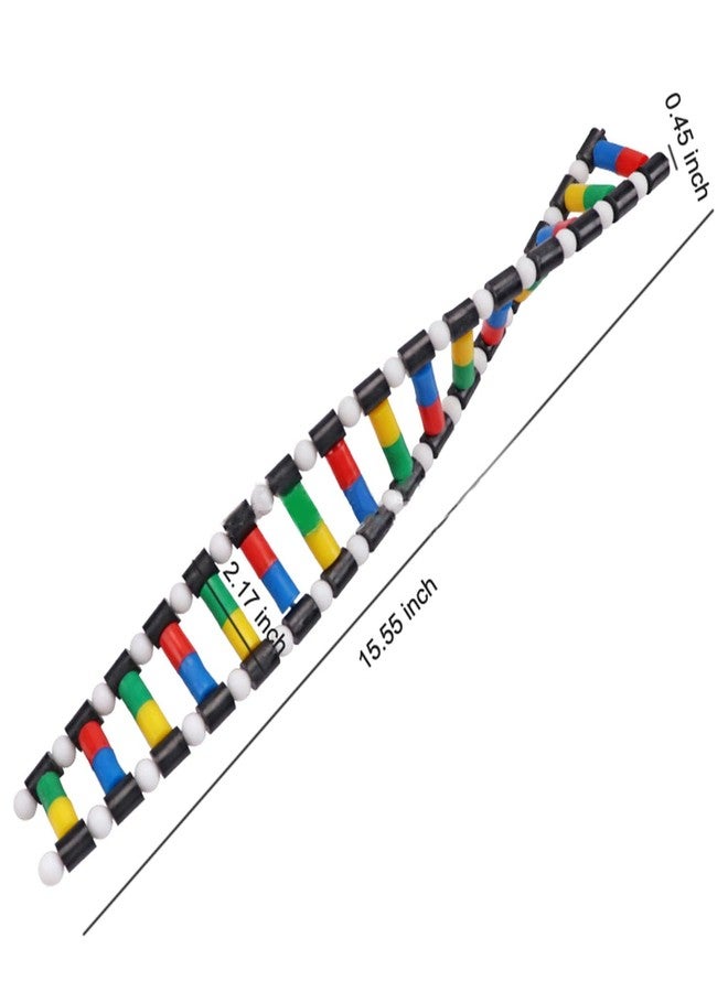 heyous Plastic DNA Double Helix Model Learning Tool Laboratory Instruments Suitable for Science Teaching - Image 3