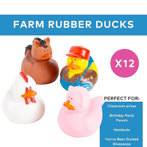 Fun Express Farm Rubber Ducks Duckies 12 Pieces Birthday Parties Treasure Chest Supplies - Image 5