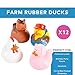 Fun Express Farm Rubber Ducks Duckies 12 Pieces Birthday Parties Treasure Chest Supplies - Image 3