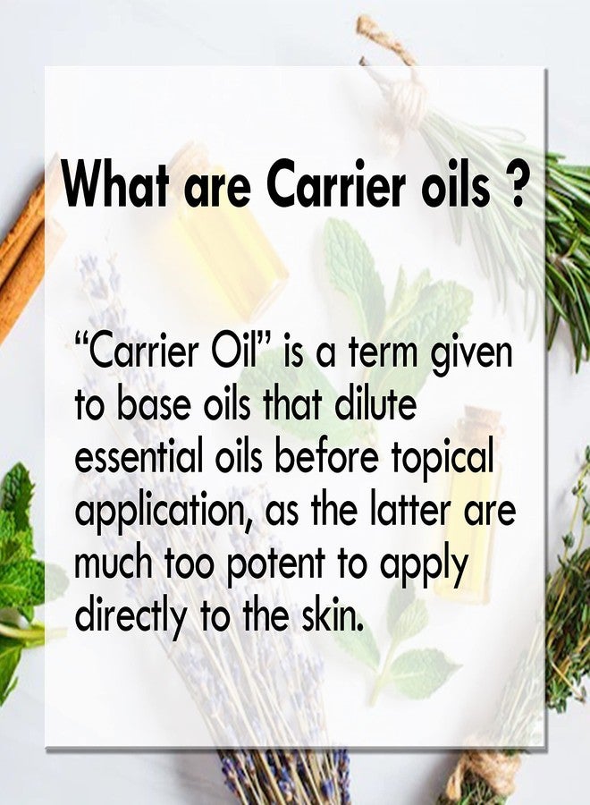 ديف هيربس زيت براهمي (باكوبا مونيري) من ديف هيربس مع قطارة زجاجية | مُنقّى | نقي | غير لزج | خفيف الوزن | للعناية بالشعر | للرجال والنساء | للاستخدام التقليدي | طبيعي | 50 مل - Image 4