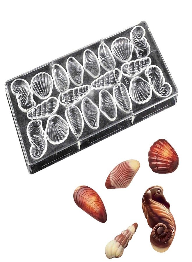 GRAINRAIN Polycarbonate Chocolate Mold DIY Handmade Chocolate Candy Mould Pastry Tools Bakeware 5 style shells (19278) - Image 1
