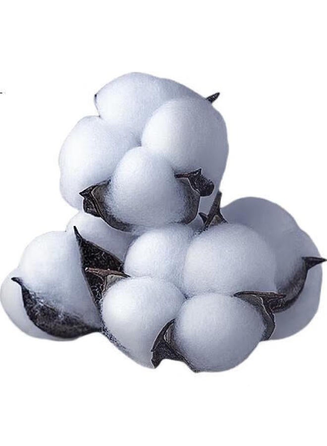 THREEGUN [Touch Series] Men'S Socks, Summer Mesh Socks, 100% Pure Cotton, Odor-Resistant, Foot Massage - Image 2