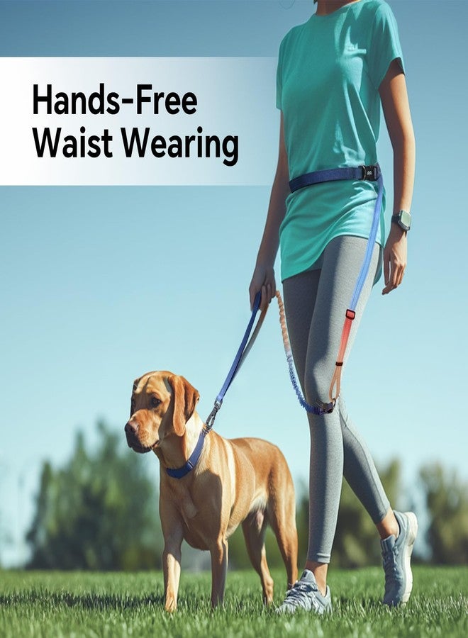 كيوكيو بيتس طوق كلاب QQPETS بدون استخدام اليدين، طوق خصر قابل للتعديل للمشي مع الكلاب، طوق جري متعدد الاستخدامات للكلاب مع مشبك حزام أمان للسيارة للكلاب المتوسطة والكبيرة - Image 2