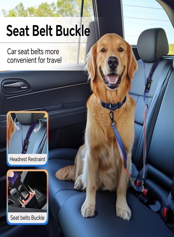 كيوكيو بيتس طوق كلاب QQPETS بدون استخدام اليدين، طوق خصر قابل للتعديل للمشي مع الكلاب، طوق جري متعدد الاستخدامات للكلاب مع مشبك حزام أمان للسيارة للكلاب المتوسطة والكبيرة - Image 5