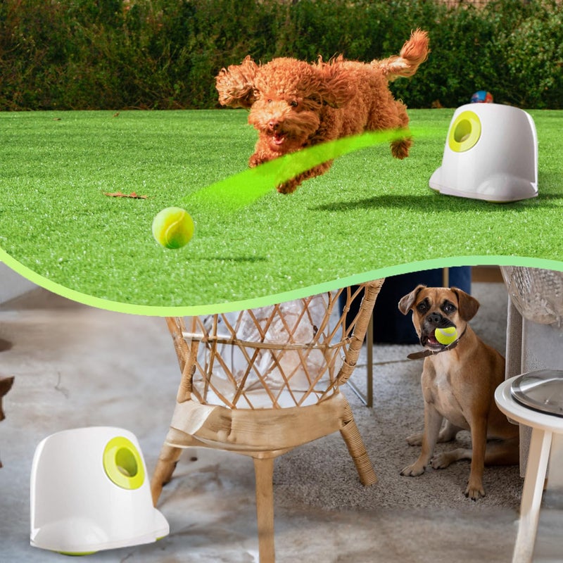 ALL FOR PAWS Automatic Ball Launcher for Dogs Interactive Puppy Pet Ball Indoor Thrower Fetch Machine, 3 Balls Included (2 inch) for Small to Medium Dogs - Image 2
