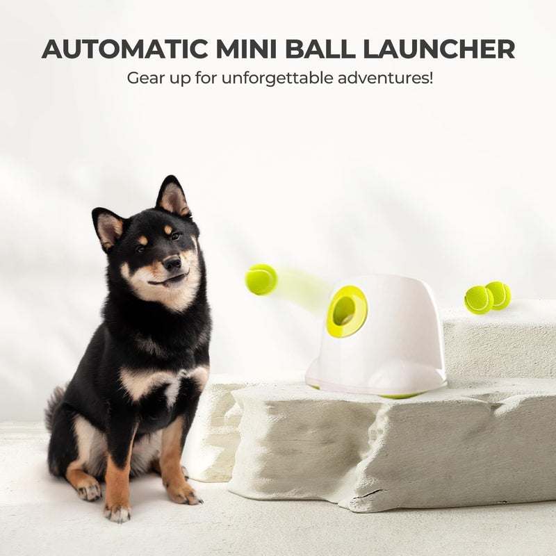 ALL FOR PAWS Automatic Ball Launcher for Dogs Interactive Puppy Pet Ball Indoor Thrower Fetch Machine, 3 Balls Included (2 inch) for Small to Medium Dogs - Image 4