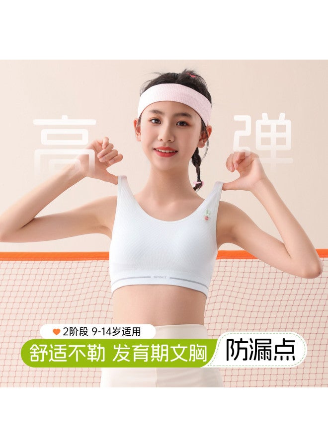 Fenton Growth Stage 2-3  Breathable Girls' Underwear & Training Bras - Anti-embarrassment & Shockproof - Image 5
