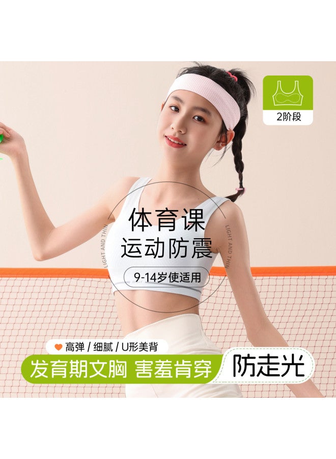Fenton Growth Stage 2-3  Breathable Girls' Underwear & Training Bras - Anti-embarrassment & Shockproof - Image 2