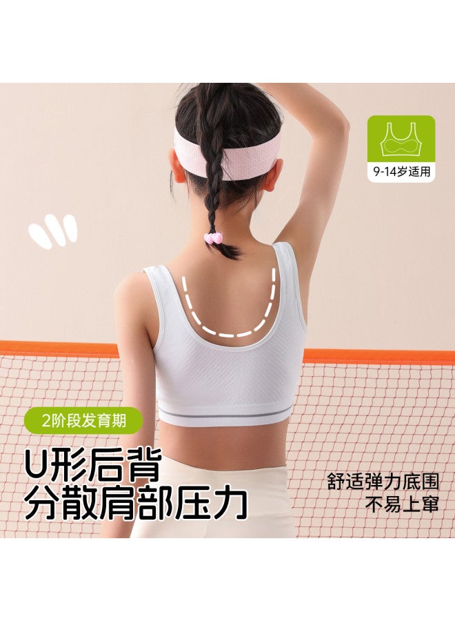 Fenton Growth Stage 2-3  Breathable Girls' Underwear & Training Bras - Anti-embarrassment & Shockproof - Image 4