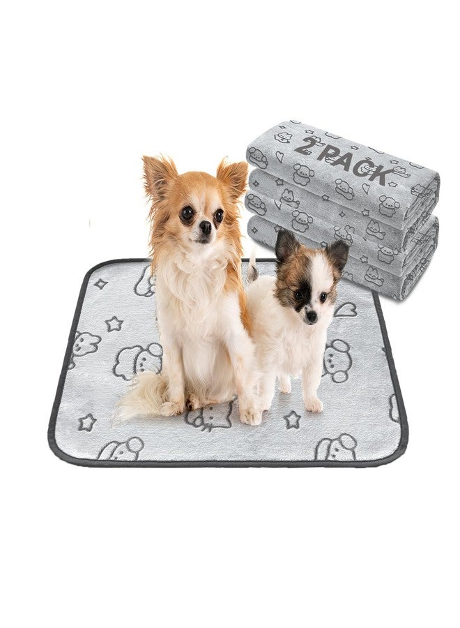 Qeils Reusable Puppy Pads, 2 Pack Washable Pee Pads for Dogs, Waterproof Non Slip Wee Wee pad, Absorbent and Leakproof Training Mats for Potty, Crate, Playpen, Bed, Sofa, 18"x 24" - Image 1