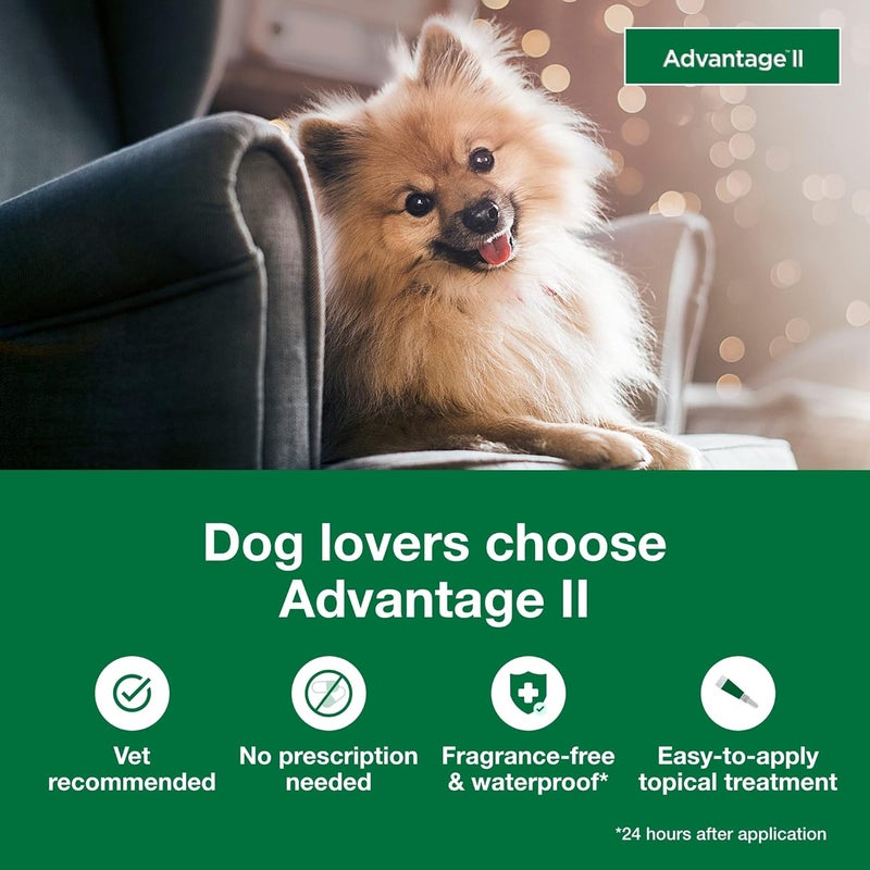 Elanco Advantage II Topical Flea Treatment for Small Dogs (3-10 lbs) - 4 Monthly Doses - Image 3