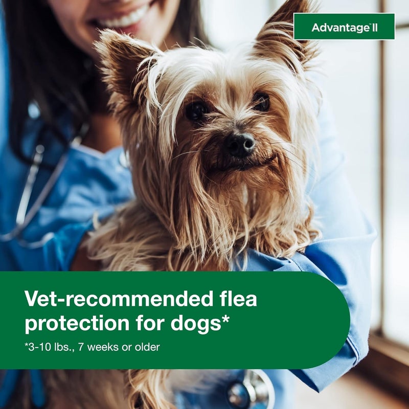 Elanco Advantage II Topical Flea Treatment for Small Dogs (3-10 lbs) - 4 Monthly Doses - Image 5
