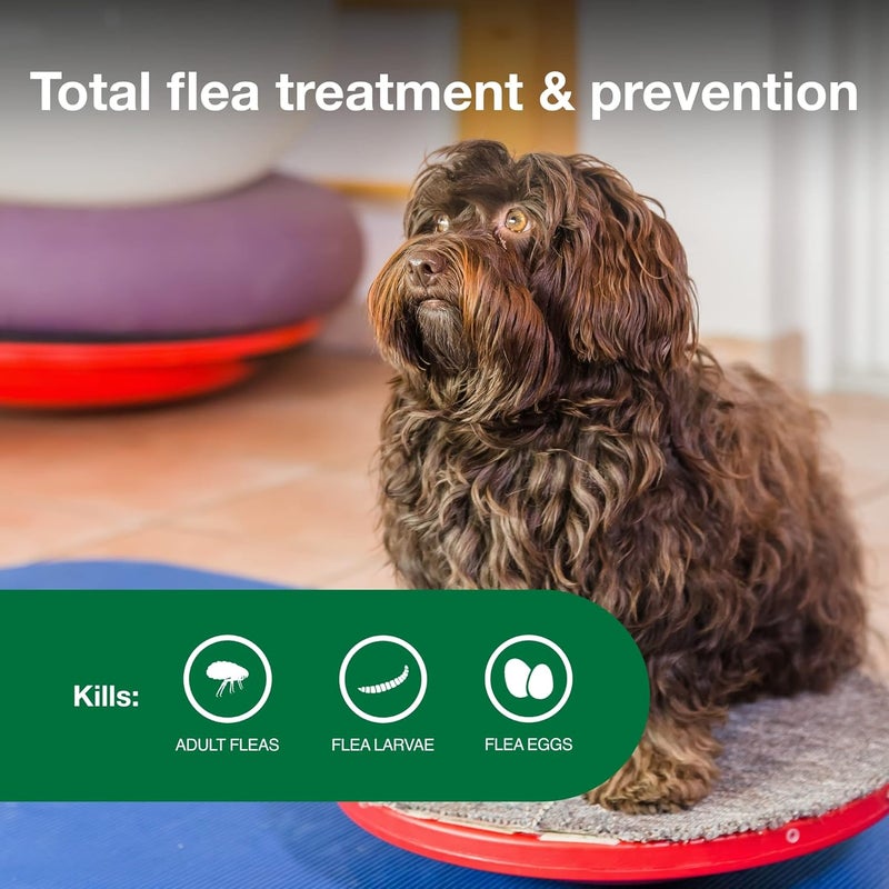 Elanco Advantage II Topical Flea Treatment for Small Dogs (3-10 lbs) - 4 Monthly Doses - Image 4