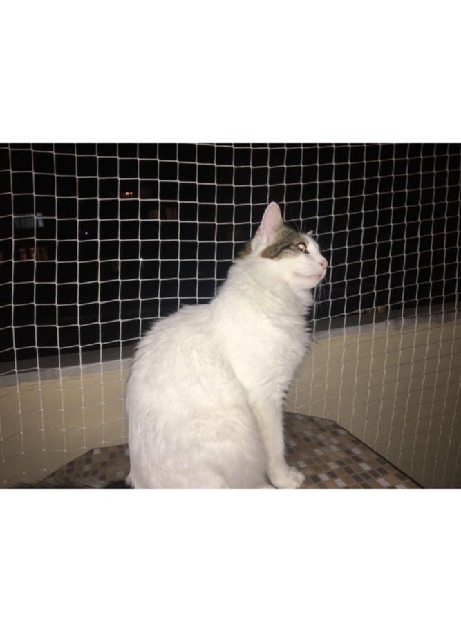 Doğalsan Tarım Bird Net 2,5X50 Meters Bird Net Balcony Net Cat Net Balcony Net Pigeon Bird Prevention Net  - Image 5