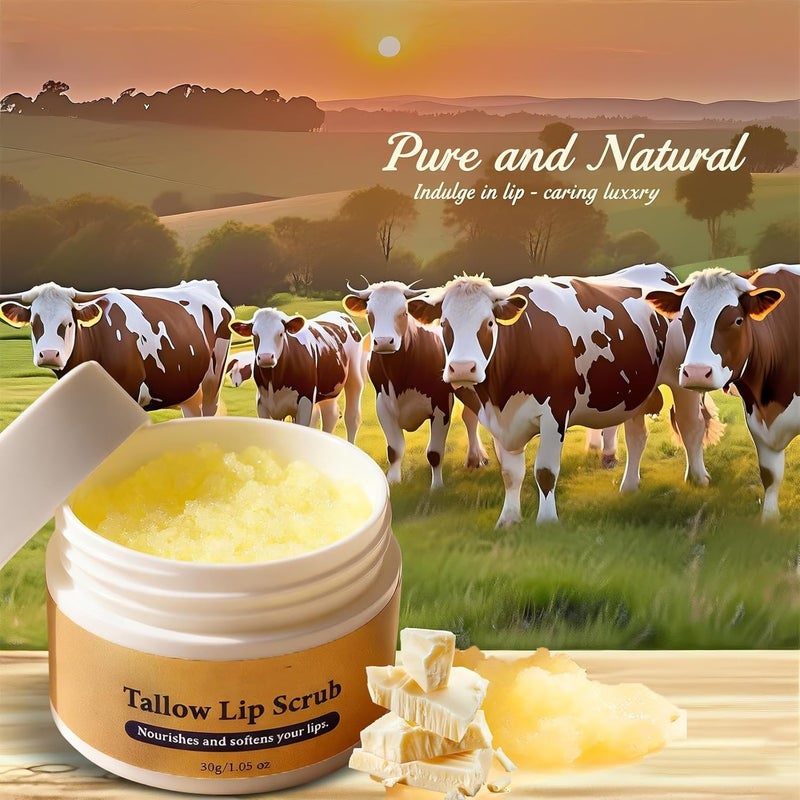 Scratch resistant Beef Tallow Lip Scrub for Dark Lips – Lip Scrubber Exfoliator Hydrating Moisturizer Grass Fed Bison Tallow Balm Lip Care - Sugar Polish and Scrubber for Chapped Dry Lips, Reduce Fine Lines Quick assemble Flexible purchase choices General need oriented design Hot & cold climate compatible Global standard quality Solid anti-deform Wide use selected material Bulk order available stock Gulf standard sizing alternatives All choice modern design Upgraded general grade quality Transparent body Field test upgraded craftsmanship Replaceable parts Global flexible assemble picks Global trendy simple build Temp & permanent project compatible Widely used design All consumer tier purchase options Globally trusted quality Globally selected raw material Diverse purchase options Repeated use trusted quality Bug proof seal - Image 3