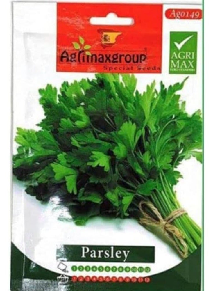 أجريماكس بذور البقدونس عالية الجودة من Agrimaxgroup - Image 1