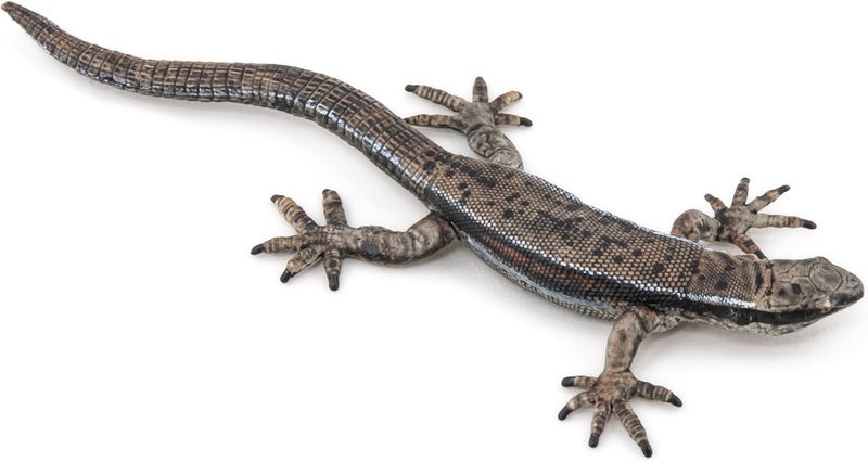 Papo  HandPainted  Figurine  Common Lizard  50300  Wildlife  Garden Animals  Collectible  for Children  Suitable for Boys and Girls from 3 Years Old - Image 5