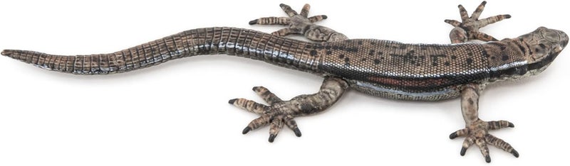Papo  HandPainted  Figurine  Common Lizard  50300  Wildlife  Garden Animals  Collectible  for Children  Suitable for Boys and Girls from 3 Years Old - Image 4