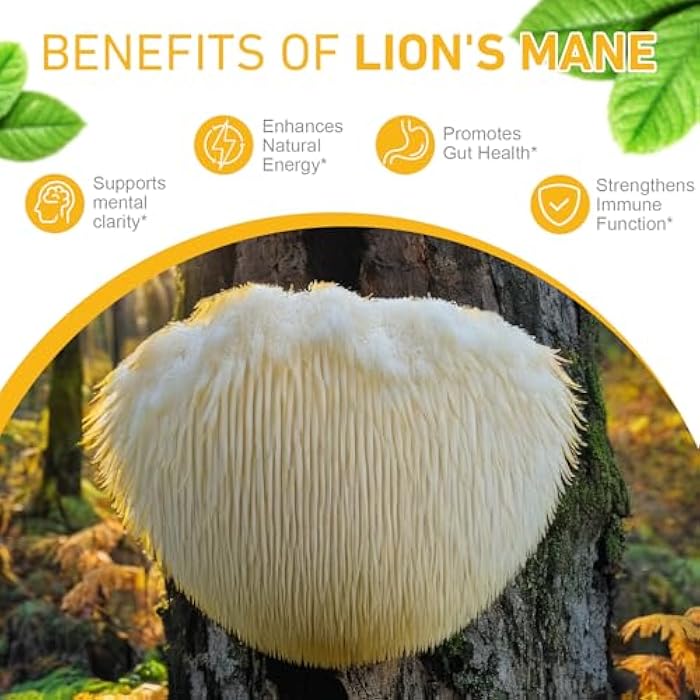 MAYPJHEH Lions ManeMushroom Drops – Brain Supplement 120,000 MG, Memory Focus & Immunity Vitamins, Plant Extract 2Oz - Image 3