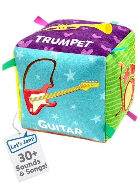 Turn2Learn Instruments Learning Cube Gift For Babies 618 Months Old