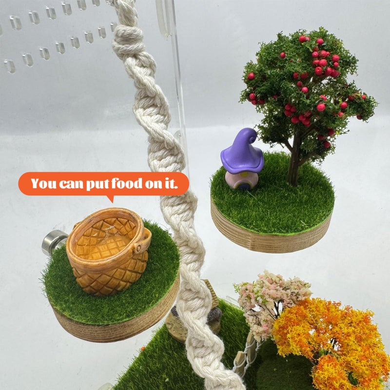 Julang Jumping Spider Enclosure Accessories â€“ Natural Wood Handmade Mini Forest Platforms with Magnetic Mounting for Climbing, Resting and Exploration -2 - Image 5