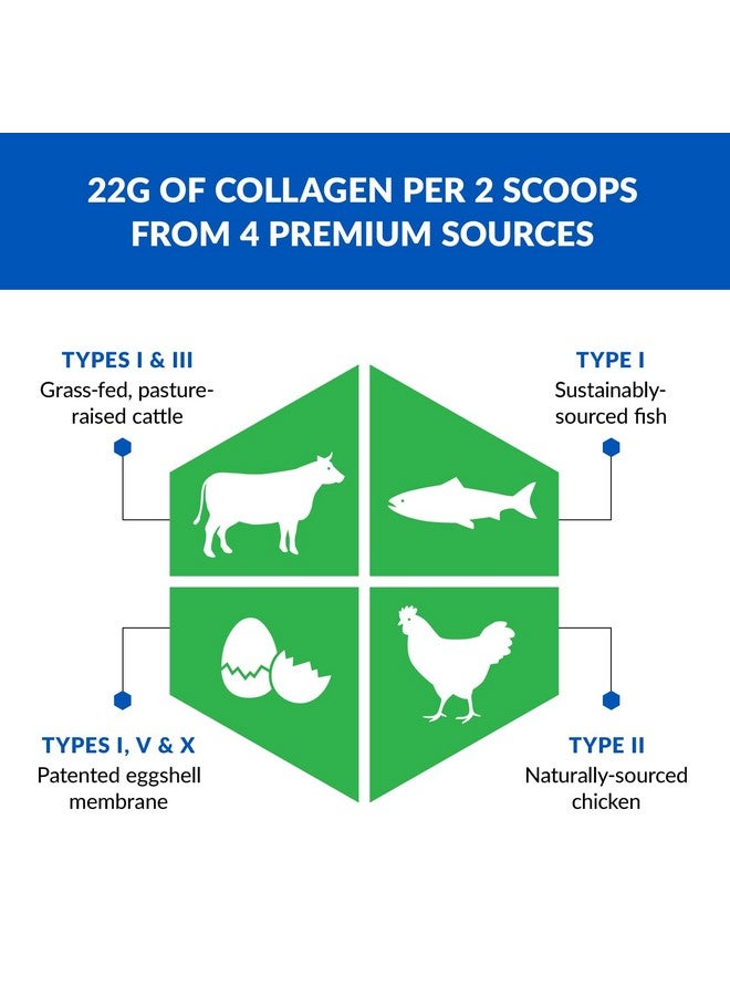 BioTrust BioTrust Multi Collagen Protein Powder + Keto MCT Oil - 5 Types (I, II, III, V, X) & 100% Caprylic Acid C8 - Support Elevated Ketones, Metabolism, Joints & Beauty All in 1 Collagen Powder (Unflavored) - Image 4