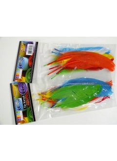 Südor Bird (Goose) Feather Colored 12-Piece 
