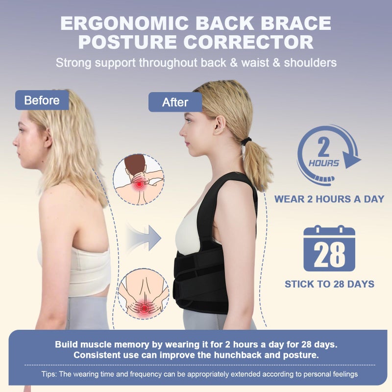 Sloworld Posture Corrector for Women and Men Upgraded Back Brace, Adjustable Full Back Support for Upper and Lower Back Pain Relief, Shoulder Straightener for Hunchback, Scoliosis, Lumbar, Spine (Black,Medium) - Image 2