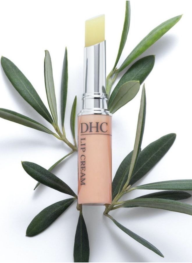 DHC Lip Cream 1.5g  - Image 4