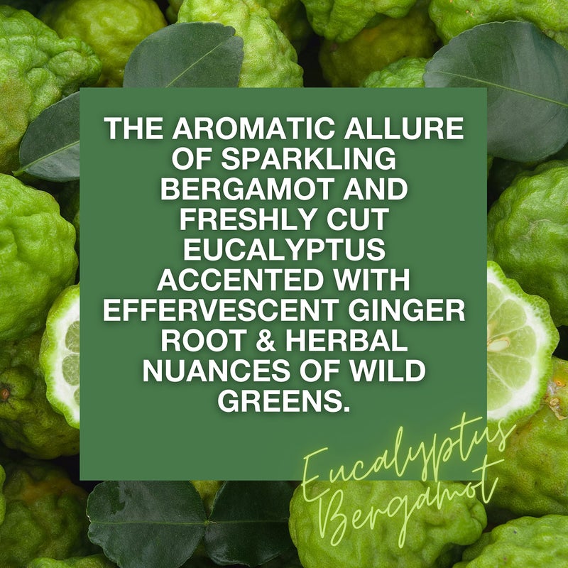 Citrus Magic Herbaceous Odor Eliminating Air Freshener Spray, Bergamot Eucalyptus, 8-Ounce, Pack of 2 - Image 5