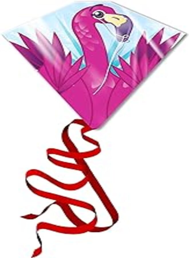 Eolo kite's ready 2 fly - flamingo