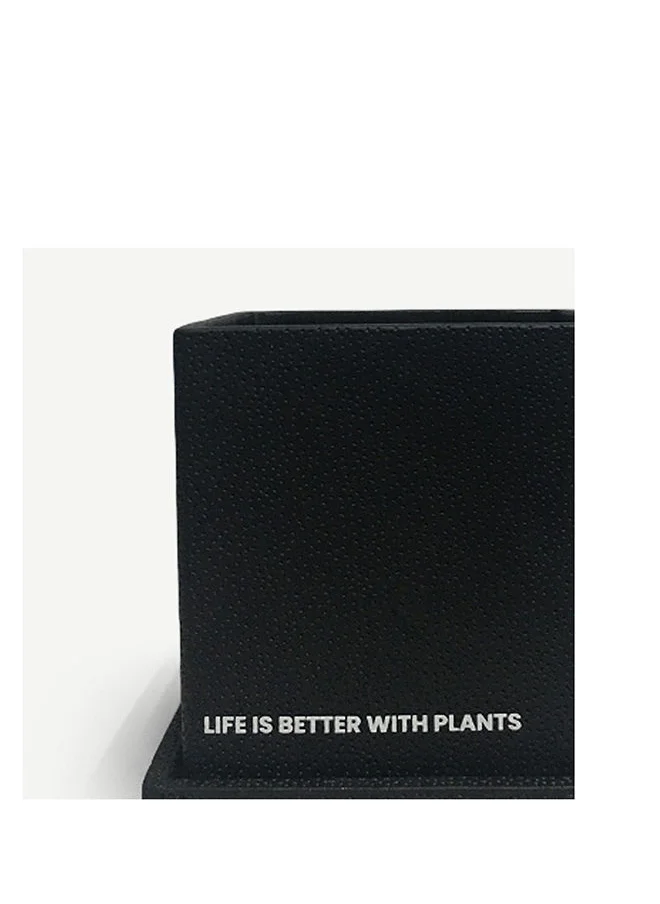 OC HOME Turner Cement Planter Black 11x12.5cm