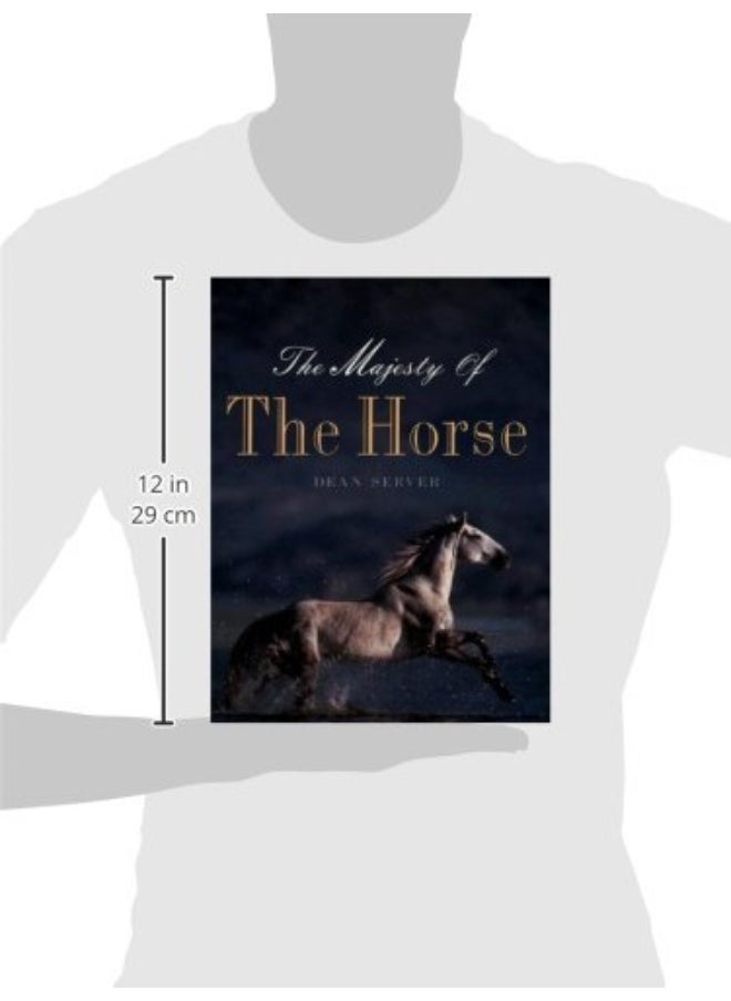 The Majesty Of The Horse  - Image 2