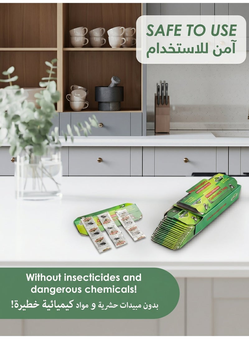 green killer 20 Pieces Strong Adhesion Cockroach Trap In One Box - Image 4