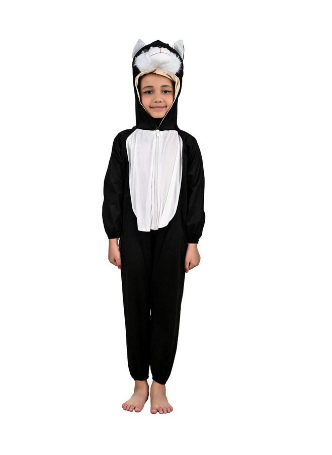 بوك ماي كوستيوم - زي تنكري على شكل قطة وحيوان للأطفال من BookMyCostume بعمر 5-6 سنوات - Image 1
