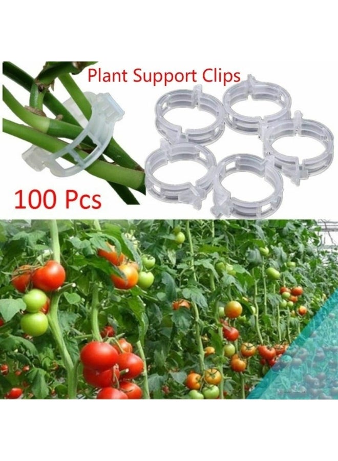 Generic Durable Clear 30/50/100Pcs Plant Support Clips Vine Garden Vegetables 23mm For types plants 