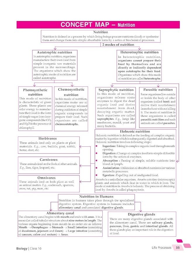 MTG Foundation Course Class 10 Biology Book - Your Companion to Crack NTSE-NVS-KVPY-BOARDS-NEET-NSO Olympiad, Based on Latest Pattern-2023 MTG Editorial Board  - Image 4