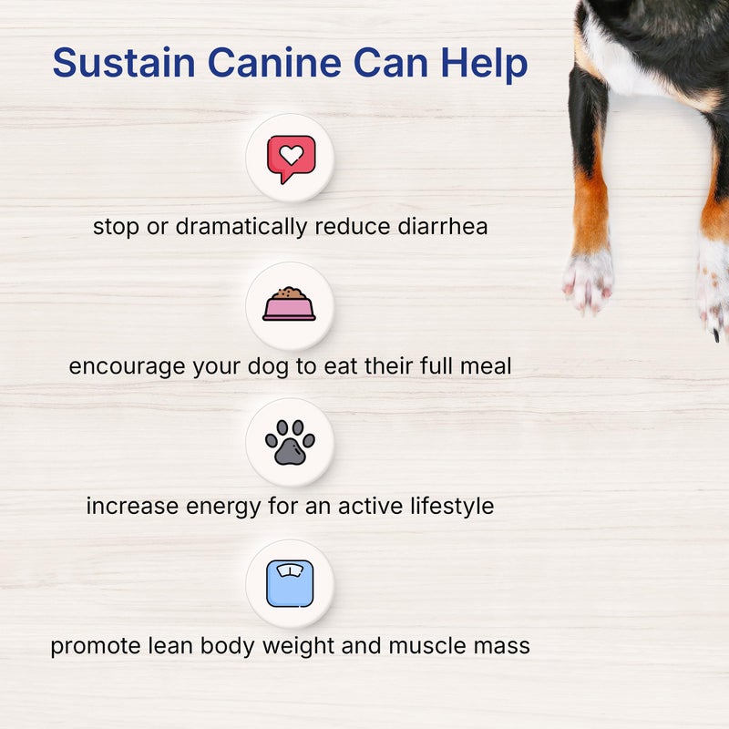 EMERAID Sustain Canine Recovery Food for Dogs (100g) - Image 5