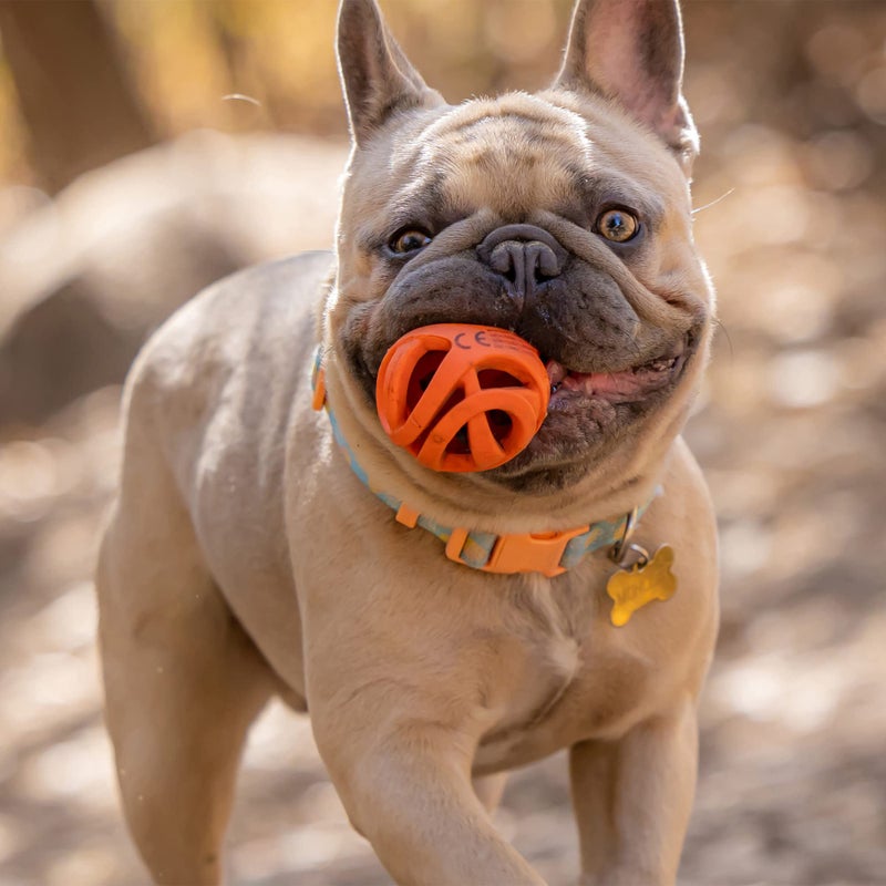 Chuckit! Air Fetch Ball Dog Toy, Small (2 Inch Diameter), for dogs 0-20 lbs, Pack of 2 - Image 3