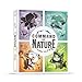 Unstable Games Command of Nature Card Game NatureThemed Strategy Game for 26 Players Ages 8 and Up Family Game Night Card Game from The Creators of Unstable Unicorns and Here to Slay - Image 2