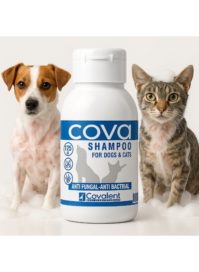 شامبو cova لعلاج فطريات وبكتيريا الجلد للقطط والكلاب – ترطيب وحماية فائقة للفرو (125 ملل)