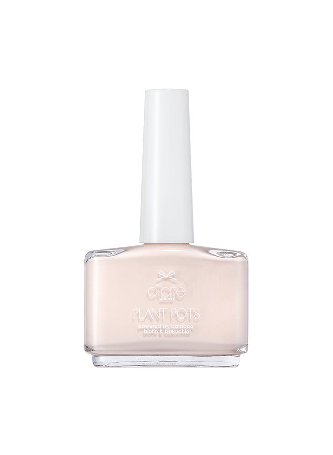 سيات أصيص نباتات جرايسي المذهلة